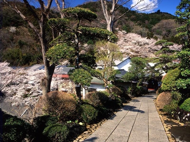 元湯旅館 厚木市 エクステリア 写真