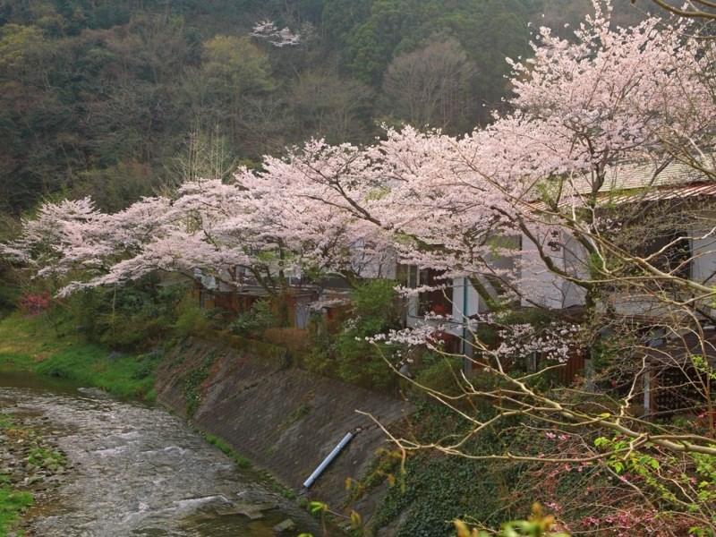 元湯旅館 厚木市 エクステリア 写真