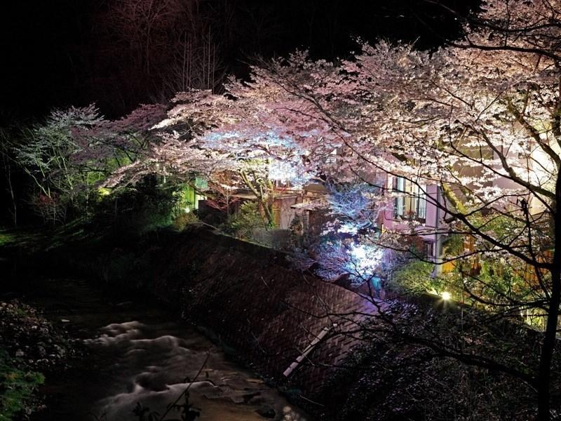 元湯旅館 厚木市 エクステリア 写真