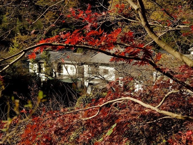 元湯旅館 厚木市 エクステリア 写真