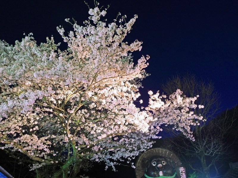 元湯旅館 厚木市 エクステリア 写真