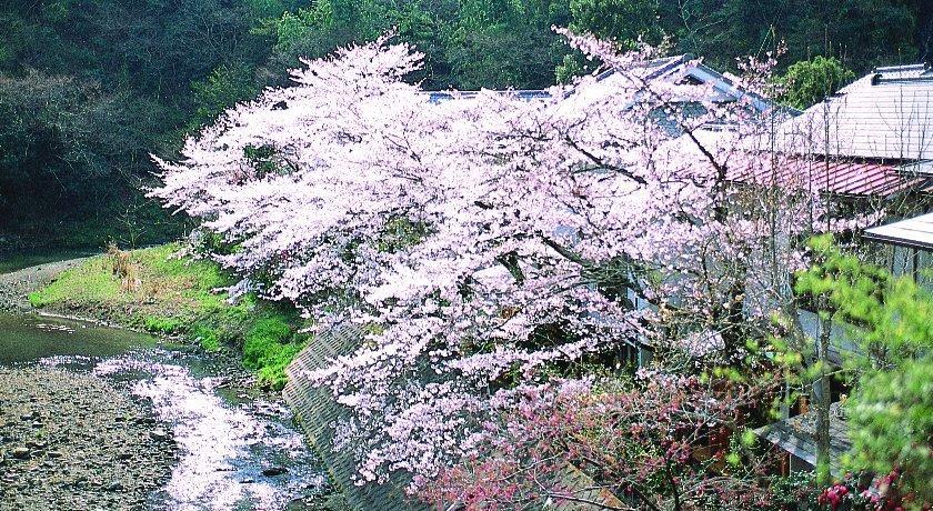 元湯旅館 厚木市 エクステリア 写真